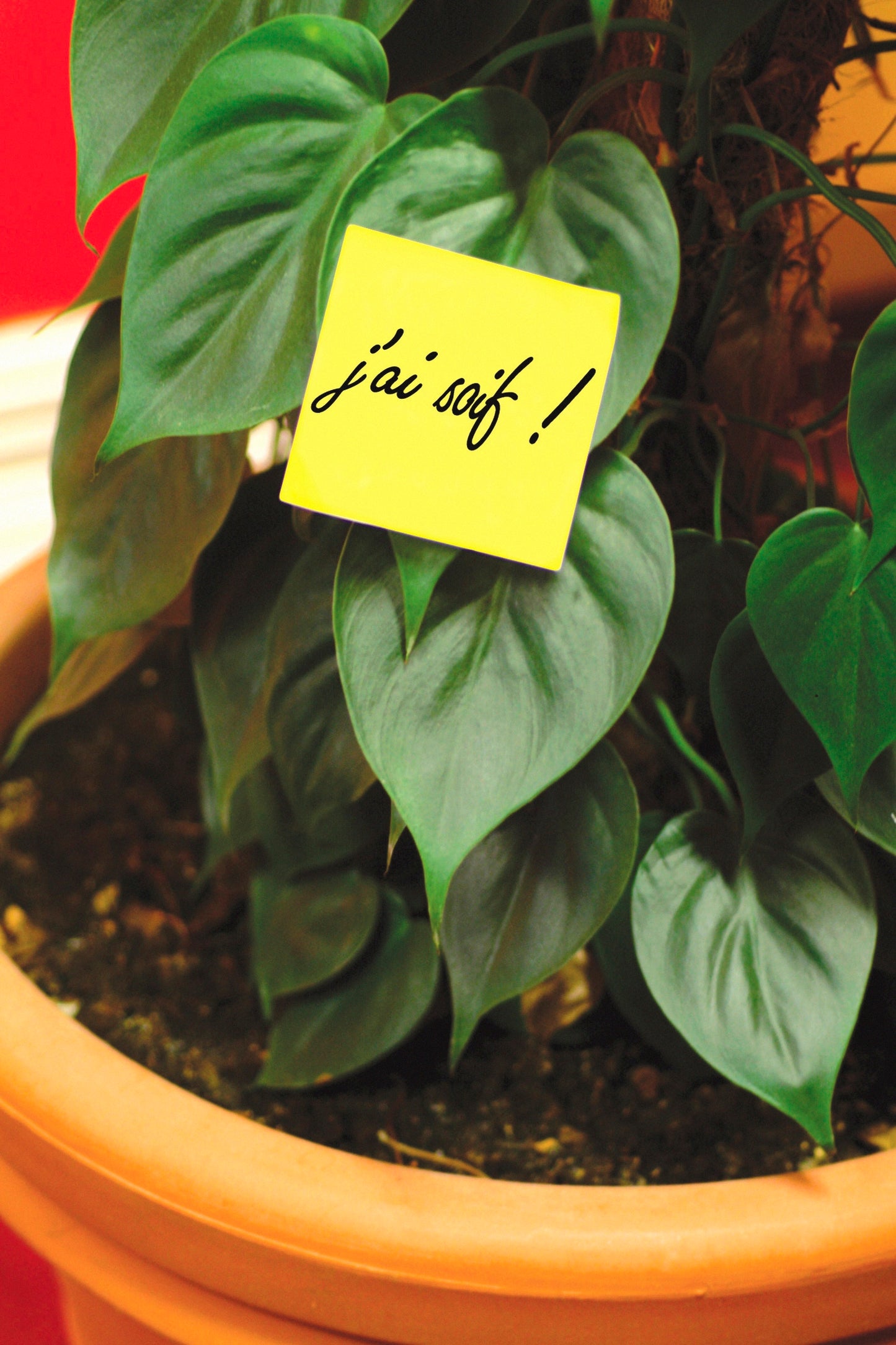 Sticky Notes Abu Dhabi