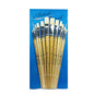12 Shape Artist Wooden Handle Brushes -Set of 12