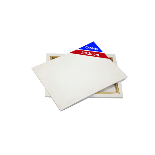 Painting Canvas Whiteboard 20x30