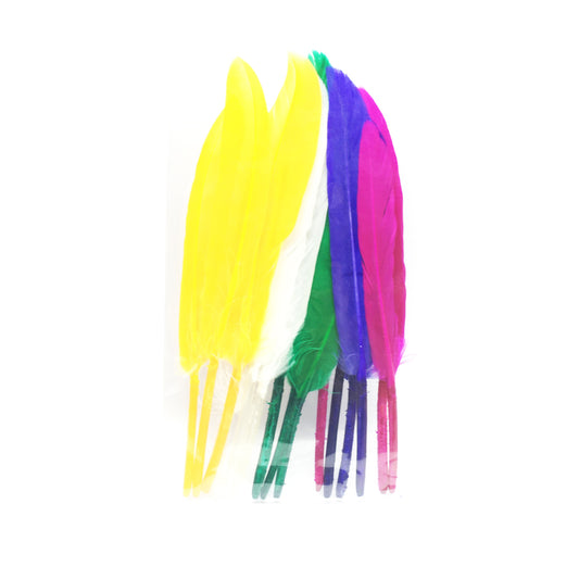 Mixed Colored Feathers